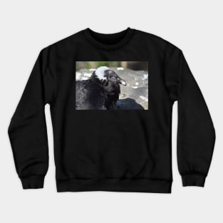 Condor Crewneck Sweatshirt